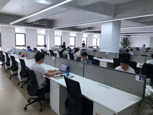 聚焦石家莊電子信息產業 神玥軟件堅持數字化發展，迎來發展黃金期